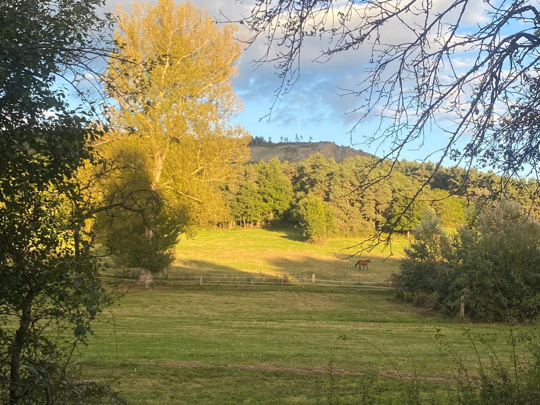 La Clairière de Peylenc - Refuge en Velay à Saint-Pierre-Eynac (19)