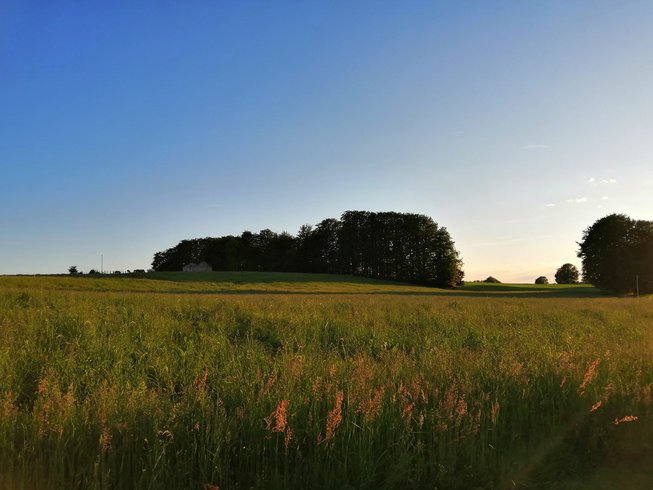Domaine AbracadaRoom : Tiny House "Ô P'tit Nid Milie"   avec sauna : Classé 1 étoile - Vosges - Image 6