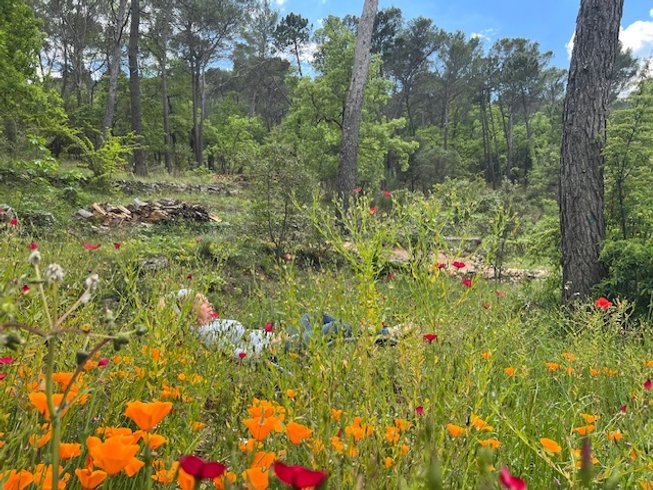 Domaine AbracadaRoom : La Closerie de l’Hermitage - Image 11