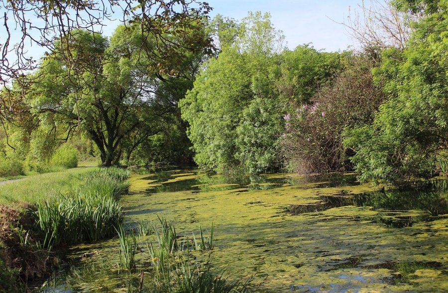 Hébergement AbracadaRoom : Bulle étoile - Image 4