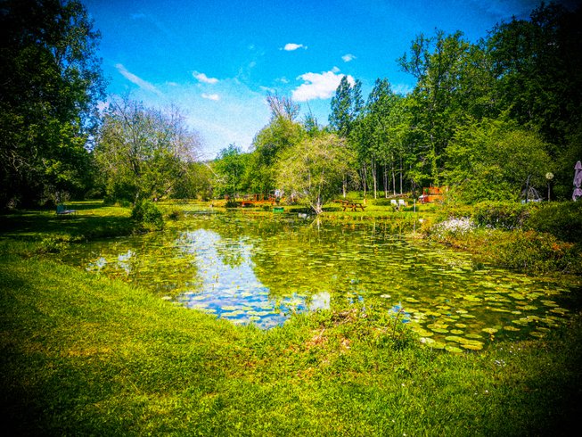 Hébergement AbracadaRoom : Lodge sur pilotis, étang privé, nature et biodiversité à Sarlat - Image 19