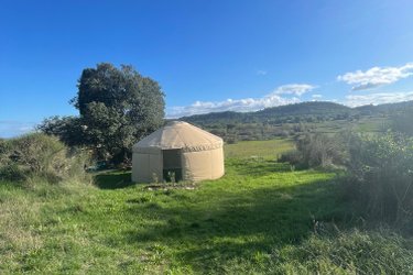 Yourte à la ferme des bréguières à Esparron De Pallieres (1)