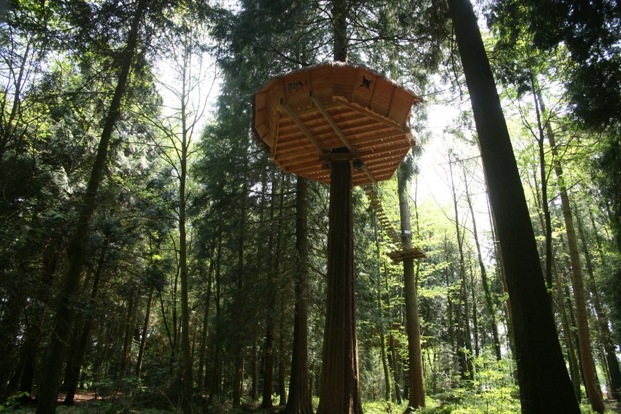 Hébergement AbracadaRoom : Cabane Tyrolienne n°2 - Image 4