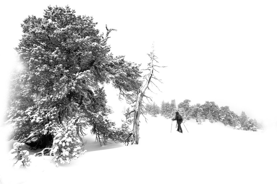 Domaine AbracadaRoom : Atipic Lodge - Image 1