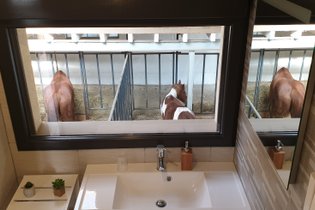 Chambre 5 vue panoramique  4 pers.