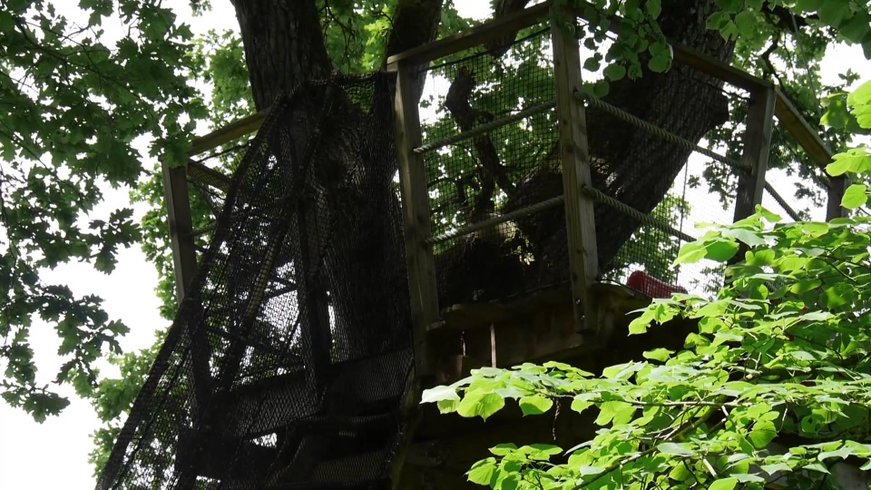 Hébergement AbracadaRoom : Tente Moorea - Image 4