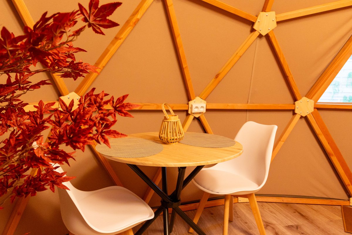 Le Dôme du Levant & Spa, Cinéma à Holving (8)