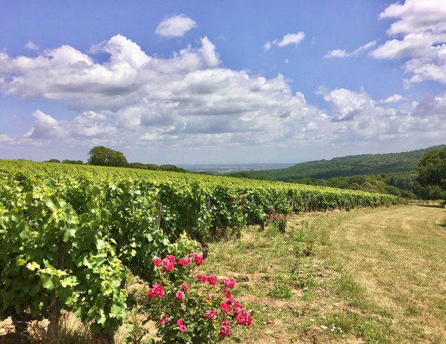 Domaine AbracadaRoom : Domaine  Joseph Lafarge - Image 11
