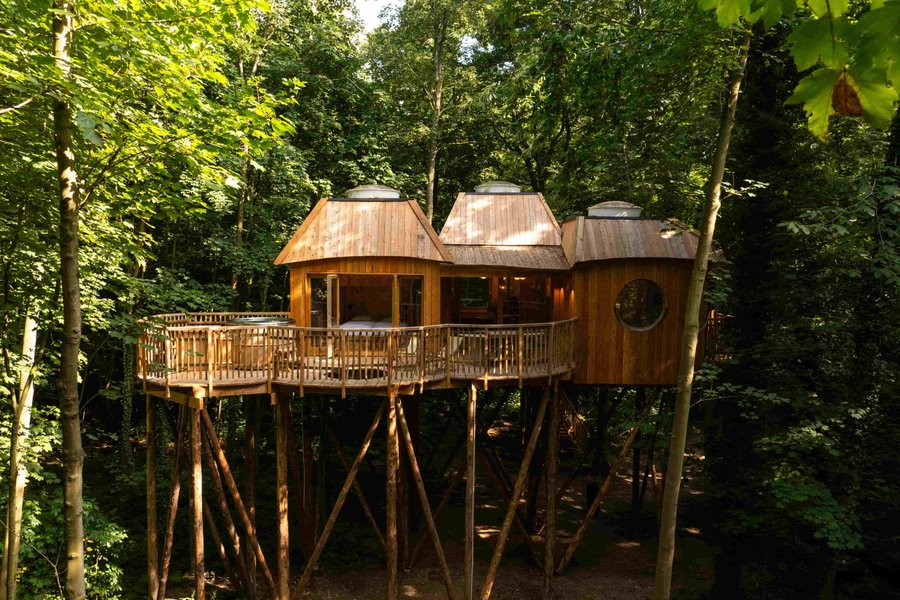 Cabane Spa Canopée — photo 2