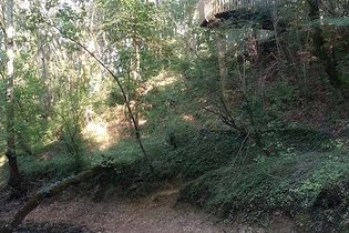 Landes Cabanes Nature