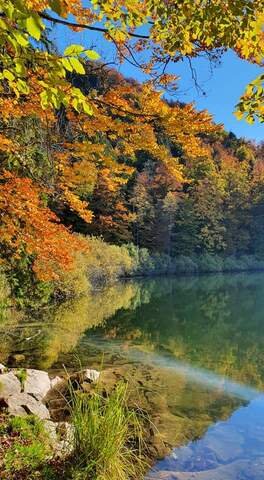 Domaine AbracadaRoom : Les Logettes de Caroline - Image 33