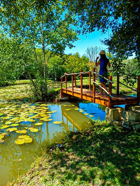 Hébergement AbracadaRoom : Gîte dans les bois, au coeur du Périgord noir avec étang privé - Image 14