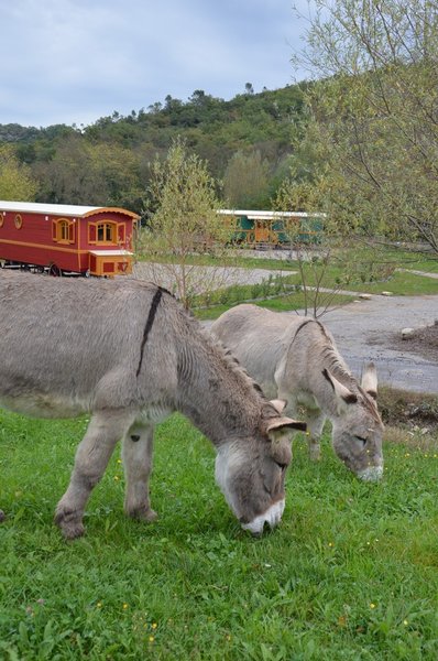 Hébergement AbracadaRoom : Les Roulottes d'Ardèche - Image 14