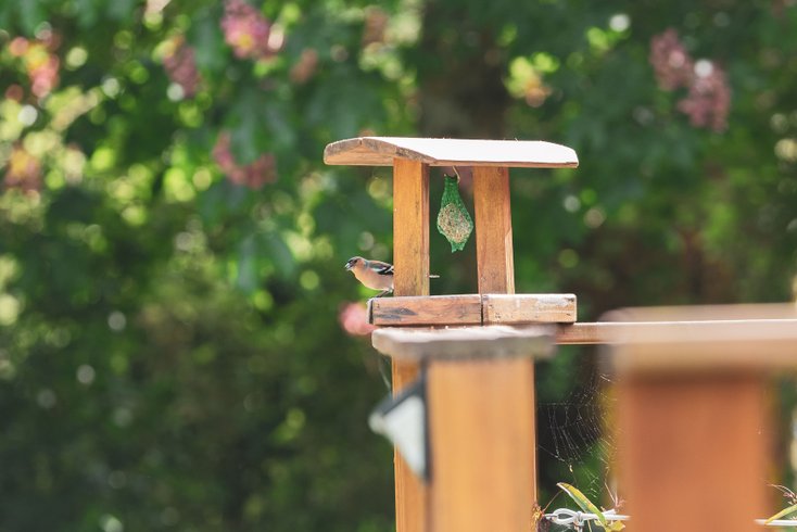 Hébergement AbracadaRoom : La Tiny House & SPA du Lutin Many - Image 25