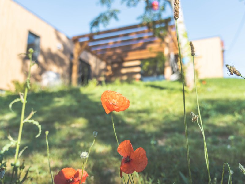 Domaine AbracadaRoom : DOMAINE DES 7 CEPAGES - Image 1