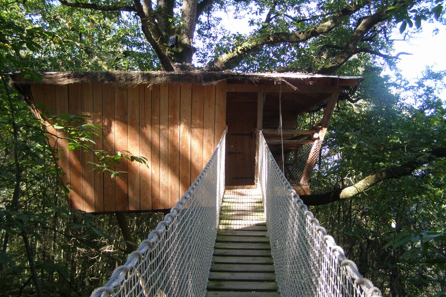 Cabane Hulotte — photo 2