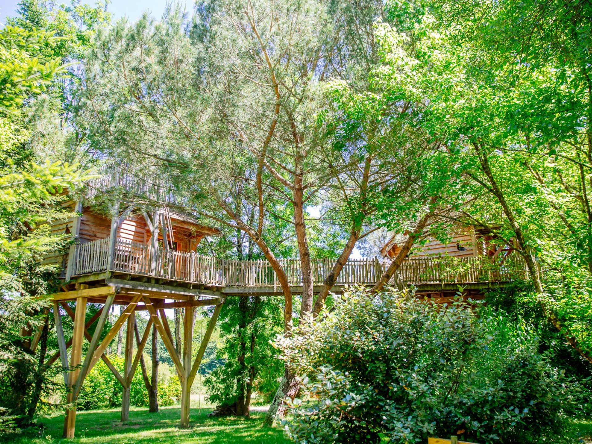 Cabane Palombière