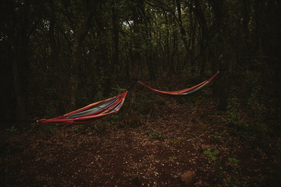 Hébergement AbracadaRoom : Pégase - Image 11