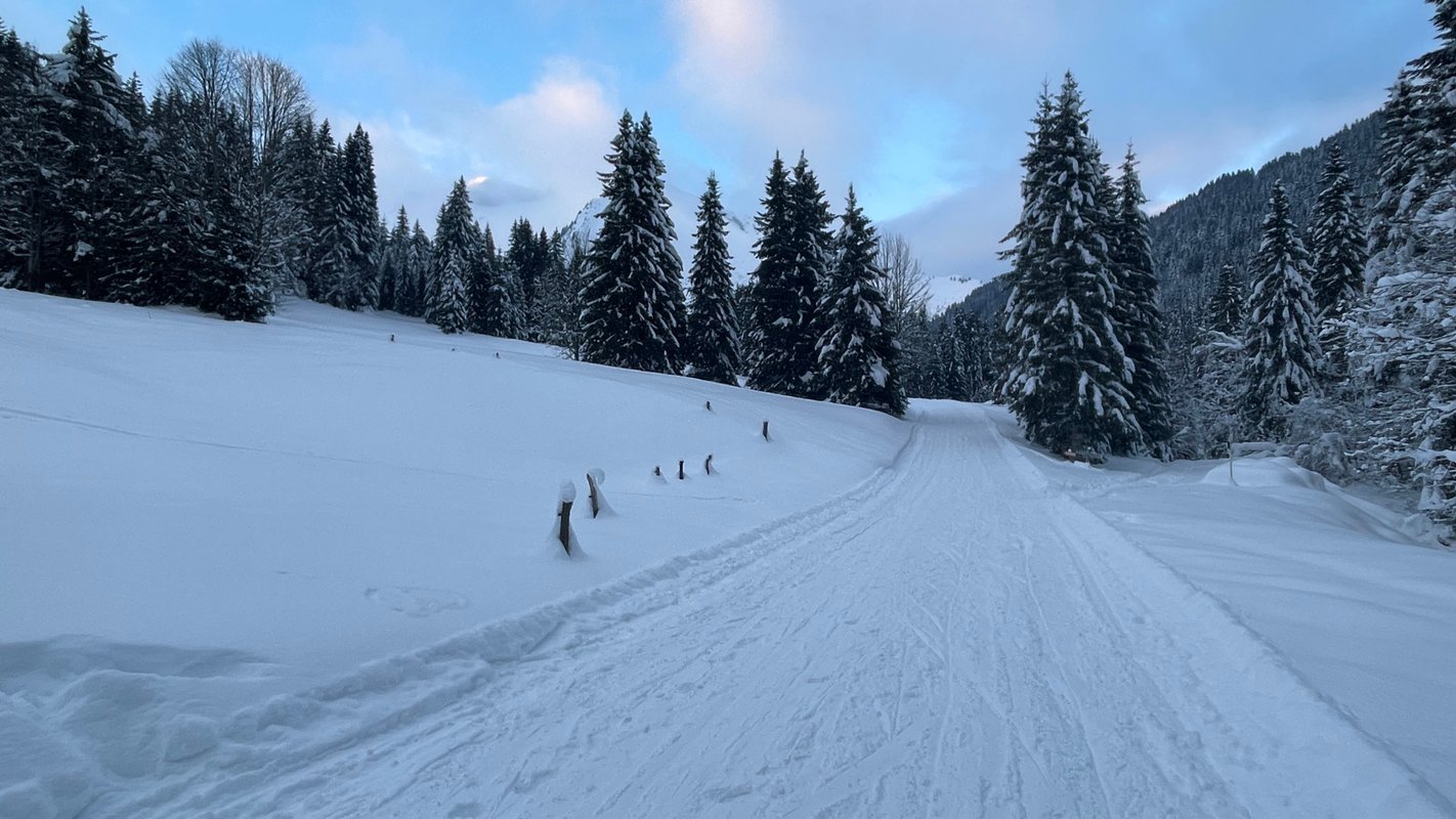 Chambre confort - Rhodiole à Taninges (10)