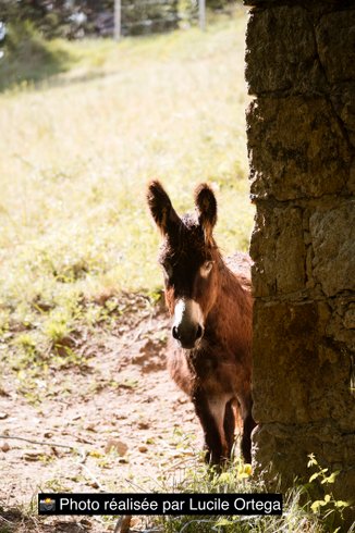 Domaine AbracadaRoom : Domaine Solio - Image 4