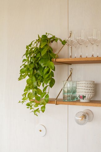 Domaine AbracadaRoom : Pépiite Périgord Vert - Image 22