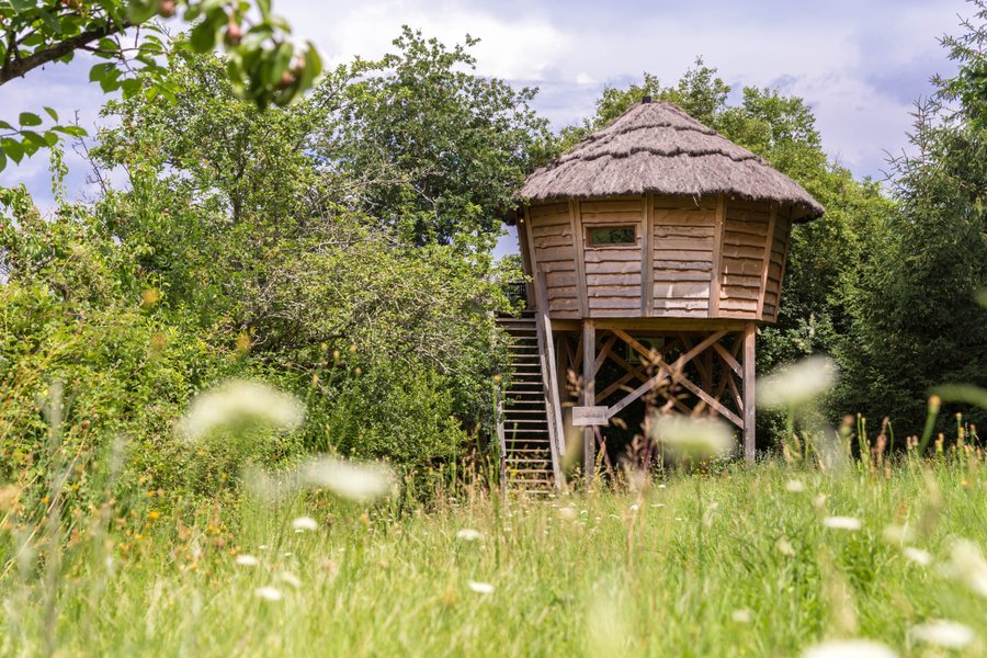 Hébergement AbracadaRoom : La Palombière - Image 4