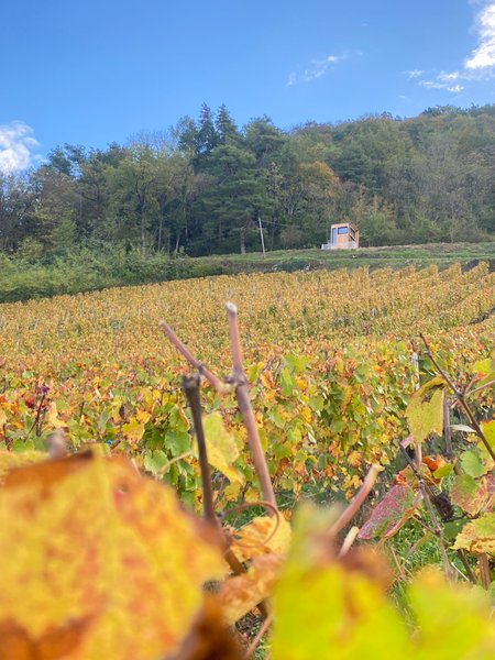 Domaine AbracadaRoom : Homnest (Boyeux) - Image 25