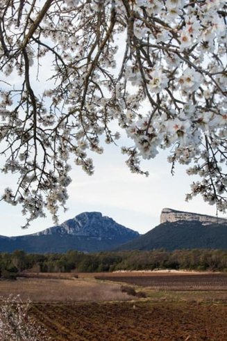 Domaine AbracadaRoom : L'Étrier des Cabanelles - Image 4