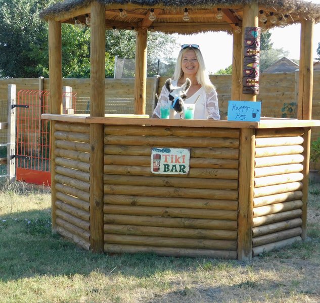 Domaine AbracadaRoom : La Ferme Pacifique Camargue - Image 5