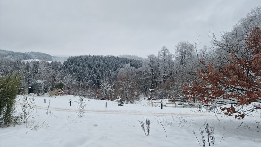 Domaine AbracadaRoom : Bois de Luna - Image 6