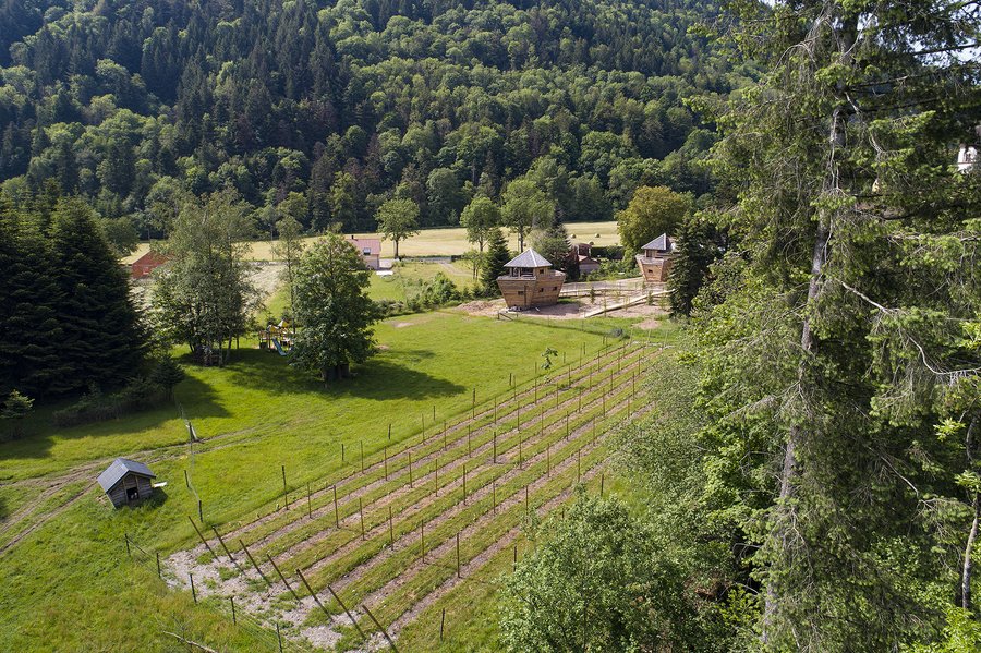 Hébergement AbracadaRoom : La Cabane du Vigneron & Spa - Image 17