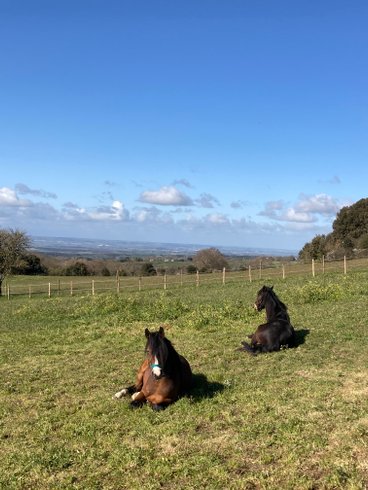 Hébergement AbracadaRoom : La Cabane de Trappeur de Campras - Image 25