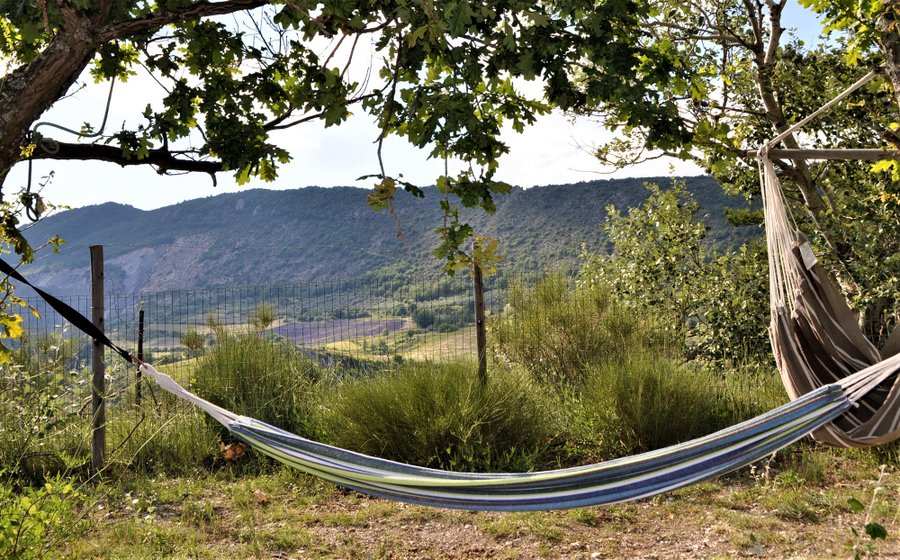 Domaine AbracadaRoom : La Tiny de Peggy - Image 6