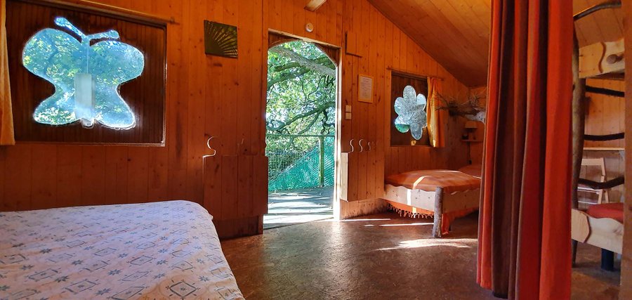 Hébergement AbracadaRoom : Chouette - Image 2