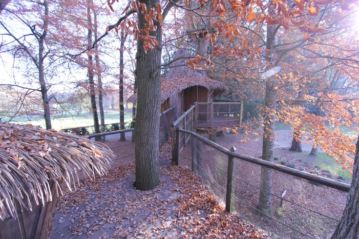 Hébergement AbracadaRoom : Cabane Familiale Vigne - Image 6