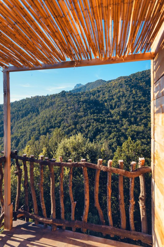 Cabane San Petrone à Poggio-Marinaccio (17)