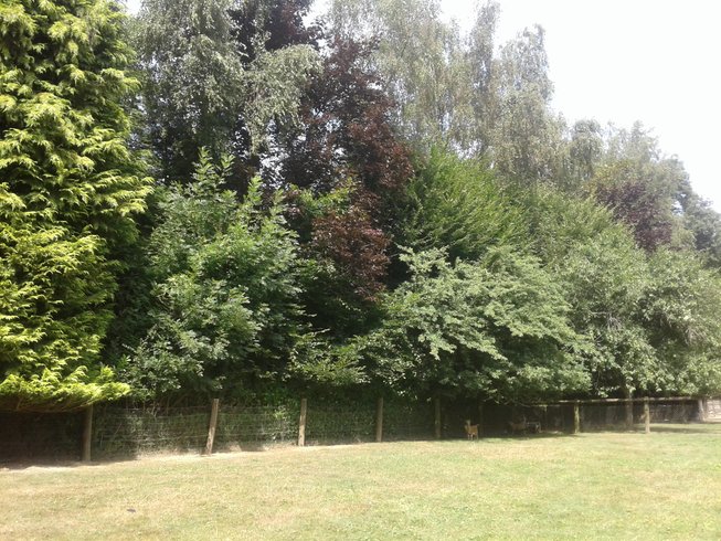 Domaine AbracadaRoom : Graine d'insolite - Image 8