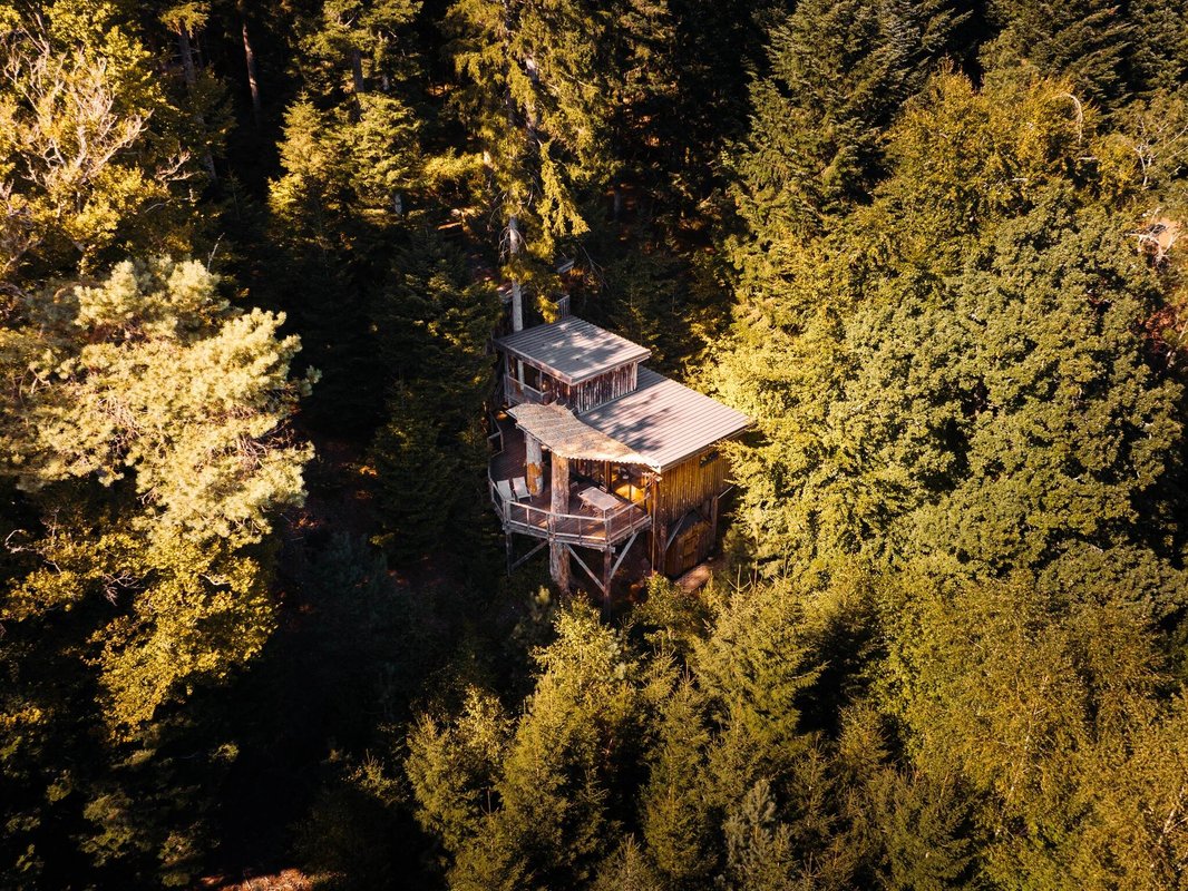Cabane perchée Deluxe Duo avec Spa à Champdray (25)