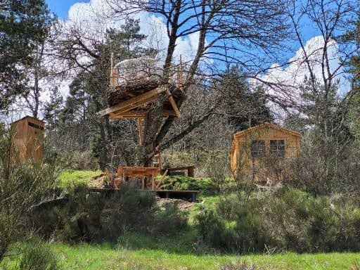 Hébergement AbracadaRoom : Le Nid, perché à la cime de l'arbre - Image 4