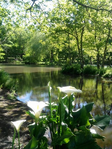 Domaine AbracadaRoom : Le Ranch Amadeus - Image 2