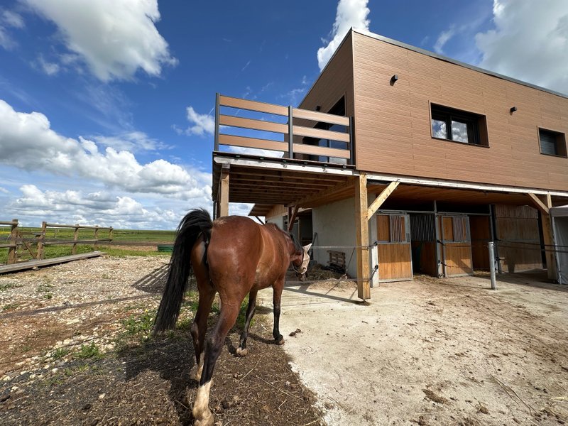 Domaine AbracadaRoom : Ecurie des prés hauts - Image 9