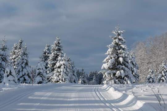 Domaine AbracadaRoom : Les Logettes de Caroline - Image 75