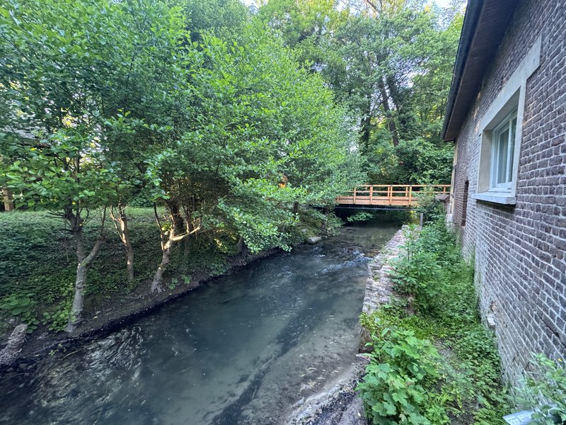 Domaine AbracadaRoom : L'île Merveilleuse - Image 16