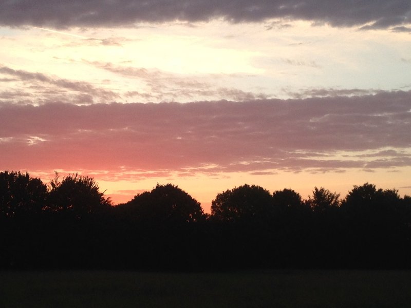 sunset-hetre-green-tree-glamping