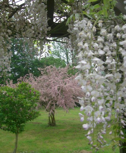 Domaine AbracadaRoom : Chez Lila des Bois - Image 2