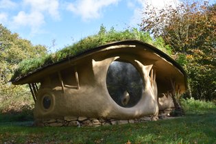 The International Love-Shack Camp