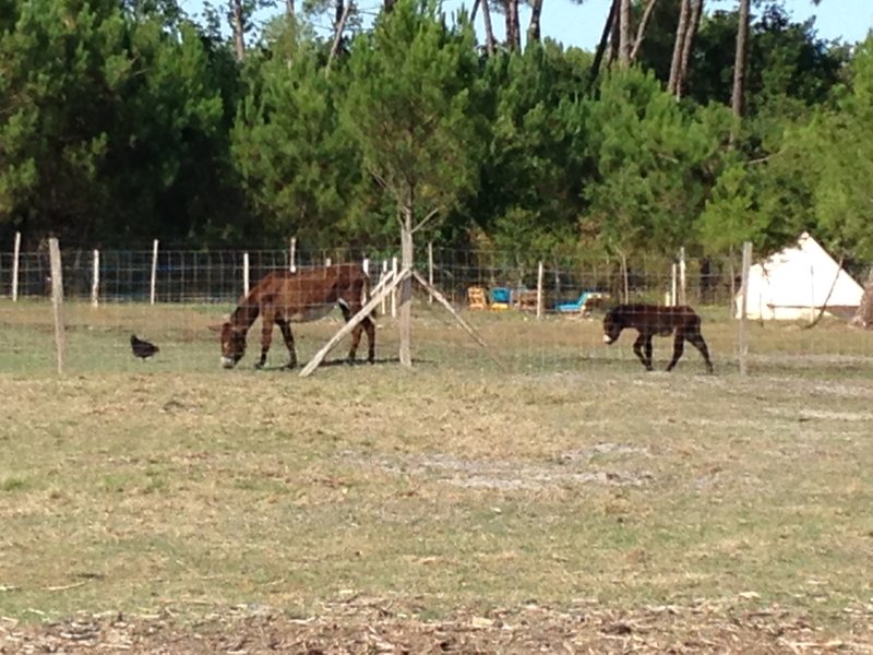 Domaine AbracadaRoom : Parenthèse Nuit - Image 7