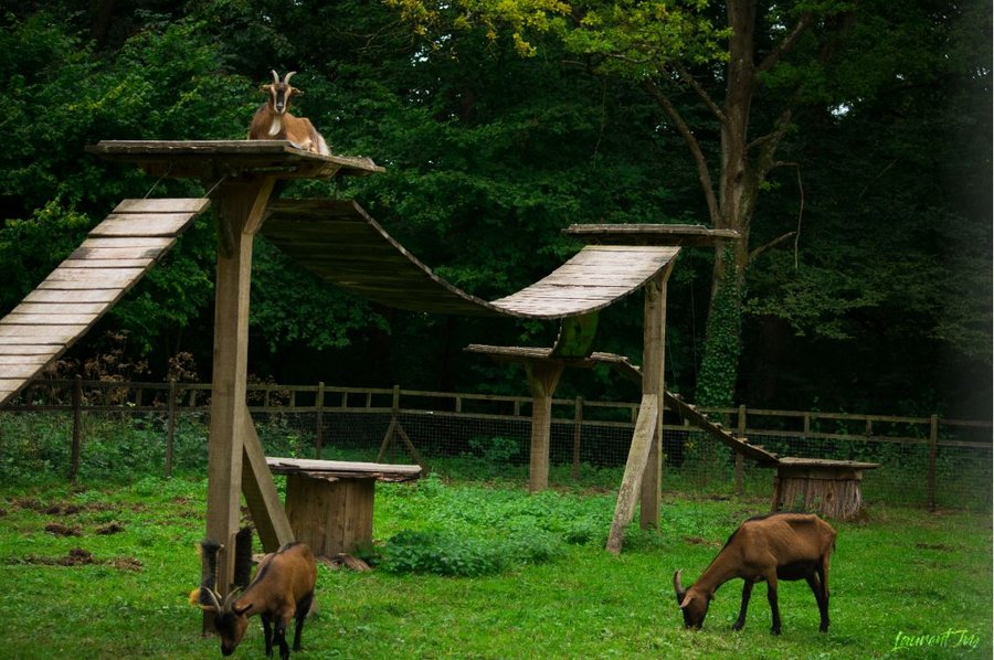 Domaine AbracadaRoom : Domaine des Reflets Bleus - Image 11