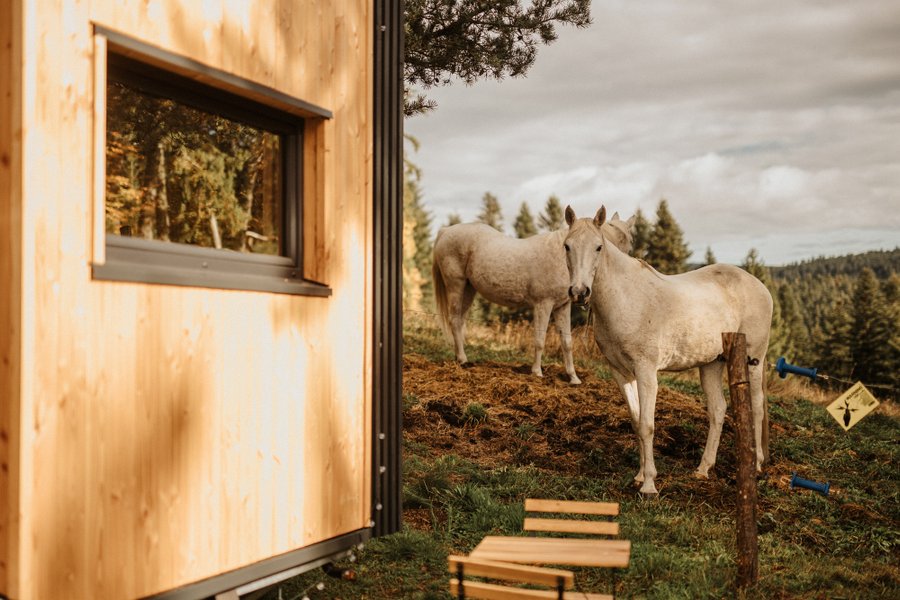 Hébergement AbracadaRoom : Homnest - L'Instant Sauvage - Vue Cimes & Forêt - Image 43