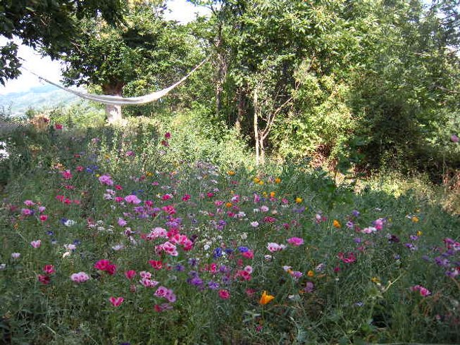 Domaine AbracadaRoom : ECOLIEUX l'Arbre de Vie en Ardèche - Image 11